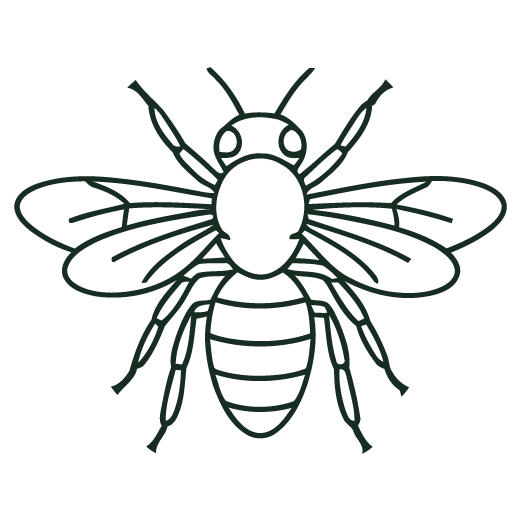 Dragonfly Logo Icon for Seperator