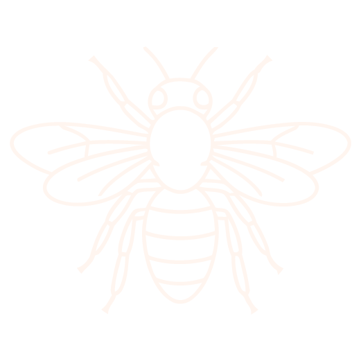 Dragonfly Logo Icon for Seperator